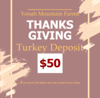 Turkey_deposit